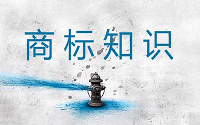 商标查询究竟要查什么?